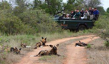 Motswari Private Game Reserve - Timbavati Khu bảo tồn Khu bảo tồn Klaserie Private Nature Reserve Ngoại thất bức ảnh