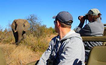 Motswari Private Game Reserve - Timbavati Khu bảo tồn Khu bảo tồn Klaserie Private Nature Reserve Ngoại thất bức ảnh