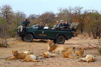 Motswari Private Game Reserve - Timbavati Khu bảo tồn Khu bảo tồn Klaserie Private Nature Reserve Ngoại thất bức ảnh