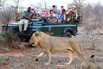 Motswari Private Game Reserve - Timbavati Khu bảo tồn Khu bảo tồn Klaserie Private Nature Reserve Ngoại thất bức ảnh