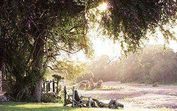 Motswari Private Game Reserve - Timbavati Khu bảo tồn Khu bảo tồn Klaserie Private Nature Reserve Ngoại thất bức ảnh