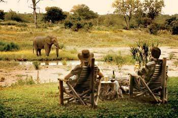 Motswari Private Game Reserve - Timbavati Khu bảo tồn Khu bảo tồn Klaserie Private Nature Reserve Ngoại thất bức ảnh
